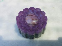 /album/galeria/semitactica-flor-morada-10-jpg/